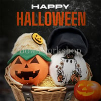 Moflin（モフリン）の服ハンドメイド　ハロウィンのコスチューム