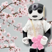 ロボホンの服/桜プリントTシャツ＆ポシェットセット