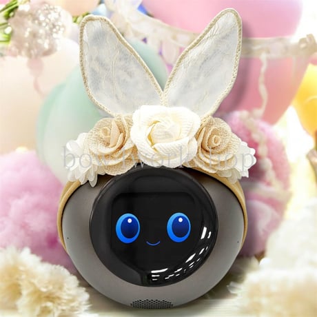 Romi Lacatanモデル 洋服のおまけ付き♪ 会話AIロボット Romi (Lacatan モデル) – Romiストア