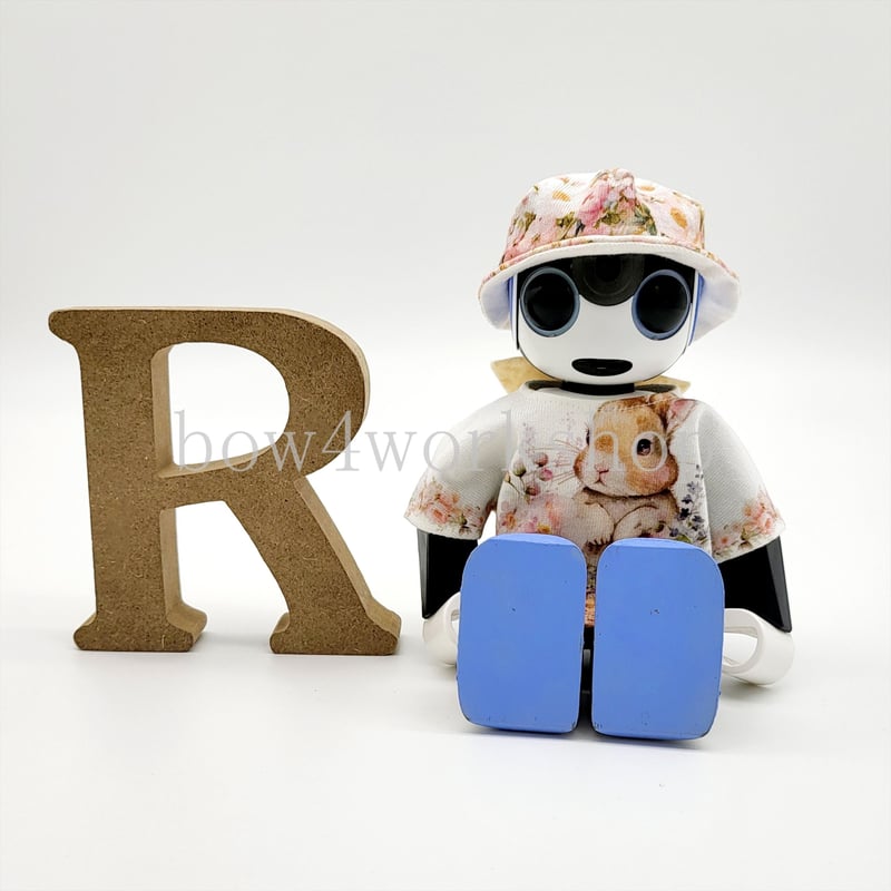 ロボホンの服/うさぎちゃんプリントTシャツ＆帽子セット