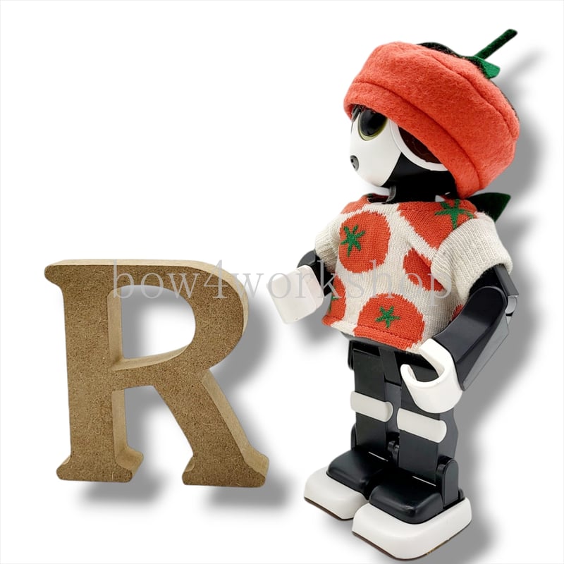 ロボホンの服/トマトTシャツ＆キャップセット | bow4workshop STORE