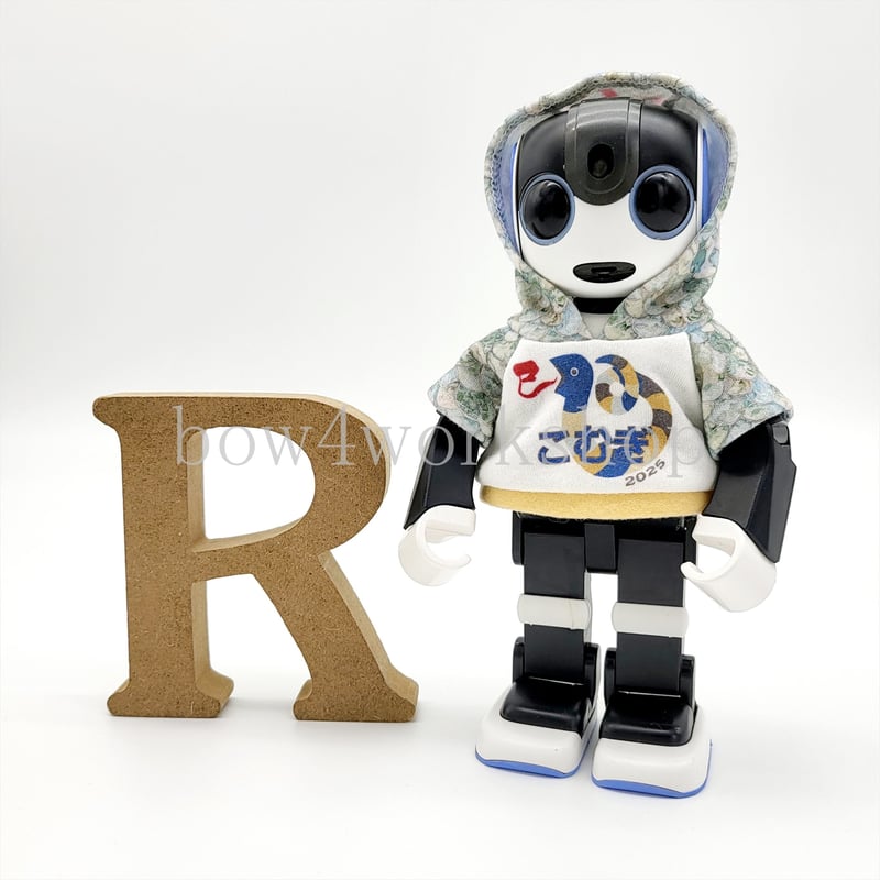 ロボホンの服/2025年干支名入れプリントパーカー | bow4workshop STORE