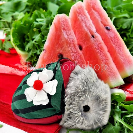 Moflin（モフリン）の服ハンドメイド スイカちゃんパーカーお花飾りセット