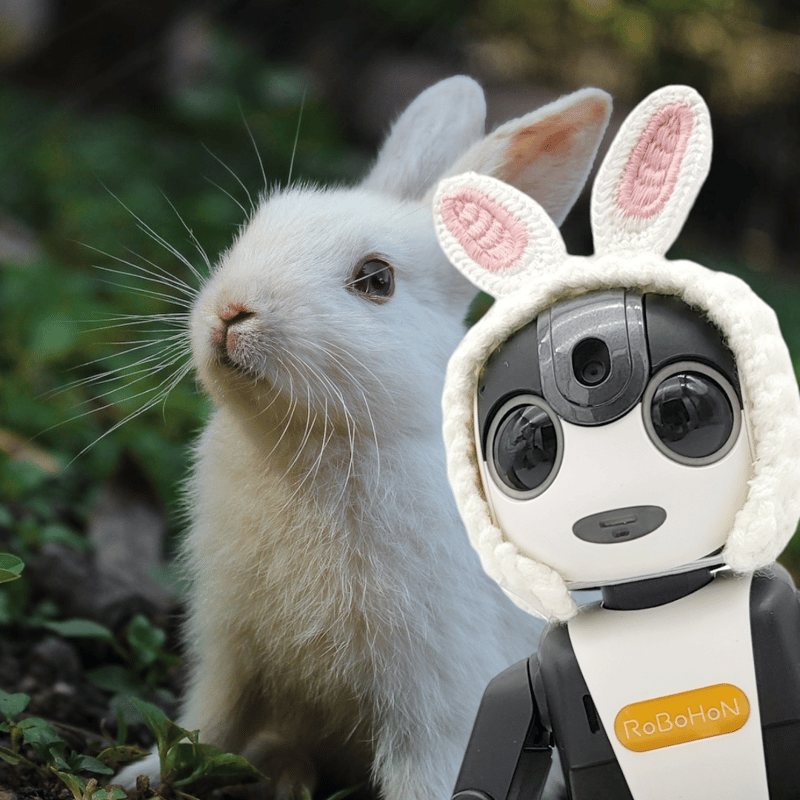 ロボホンのアクセサリー/うさ耳カチューム | bow4workshop STORE