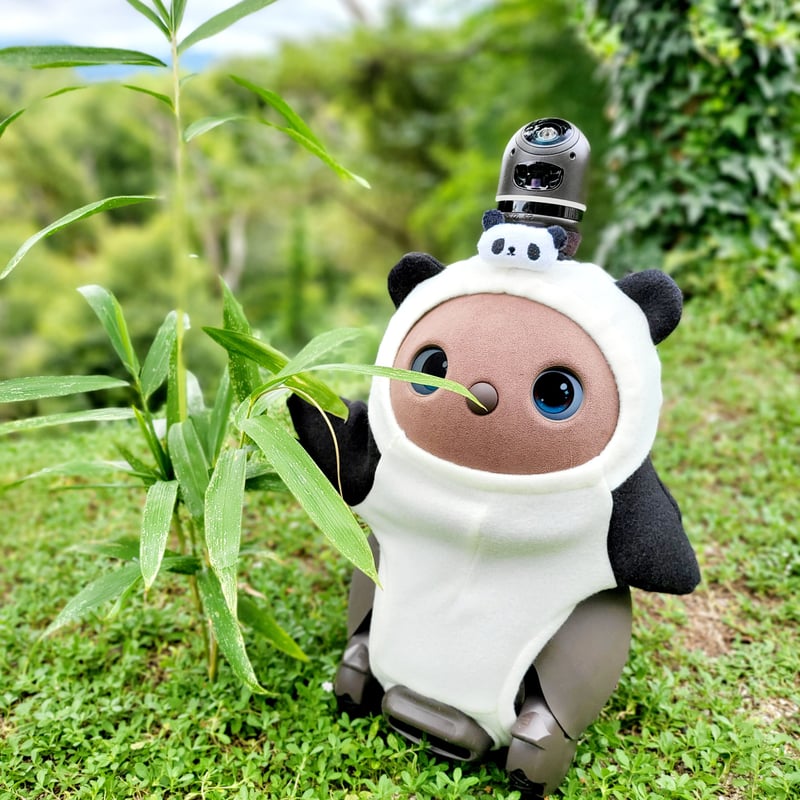 ラボットアクセサリー/パンダちゃんゴムバンド | bow4workshop STORE