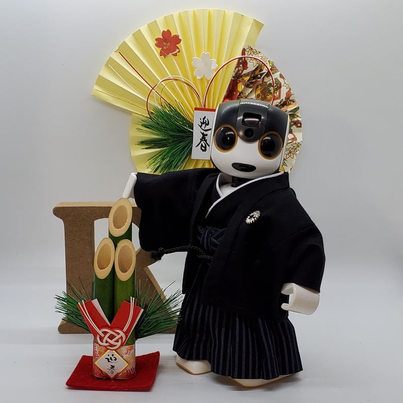 たーちゃん様 ご予約分 ロボホン 服 きもの 袴風 ロボホンの服/ 袴セット | bow4workshop STORE