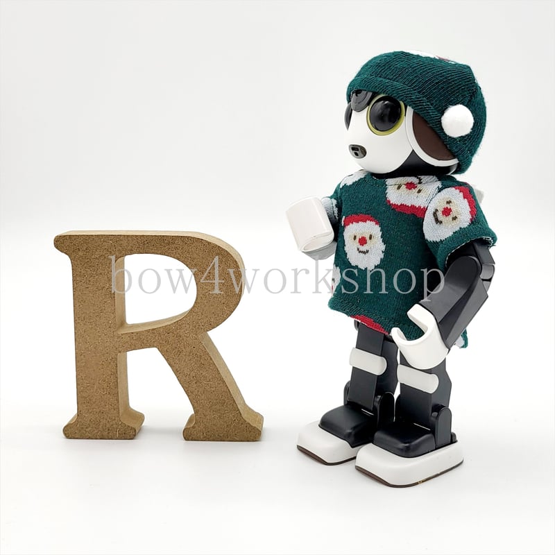 ロボホン RoBoHoN ロボホンの服ハンドメイド サンタクロース名入れセット ロボホンの服/ クリスマスTシャツ&キャップセット