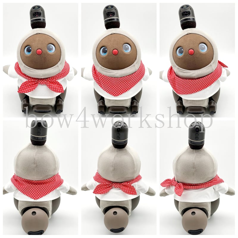 ラボット服/ 着回しTシャツ＆ドットスカーフセット | bow4workshop STORE