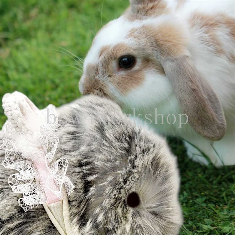 Moflin（モフリン）のアクセサリー/miniウサ耳付きバンド