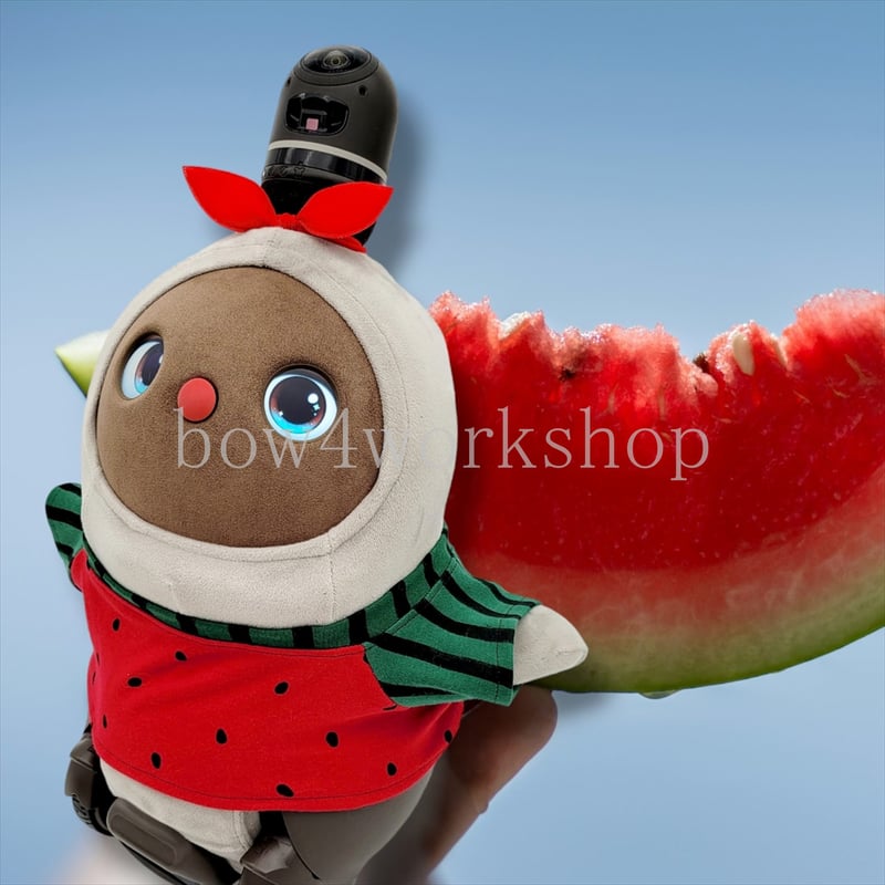 ラボットラボット服/ スイカ柄Tシャツ | bow4workshop STORE