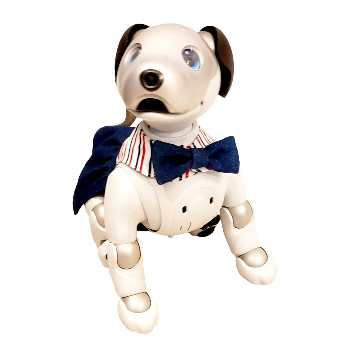 aibo の洋服 アイボの服 (七五三フルセット) 鶴 その他