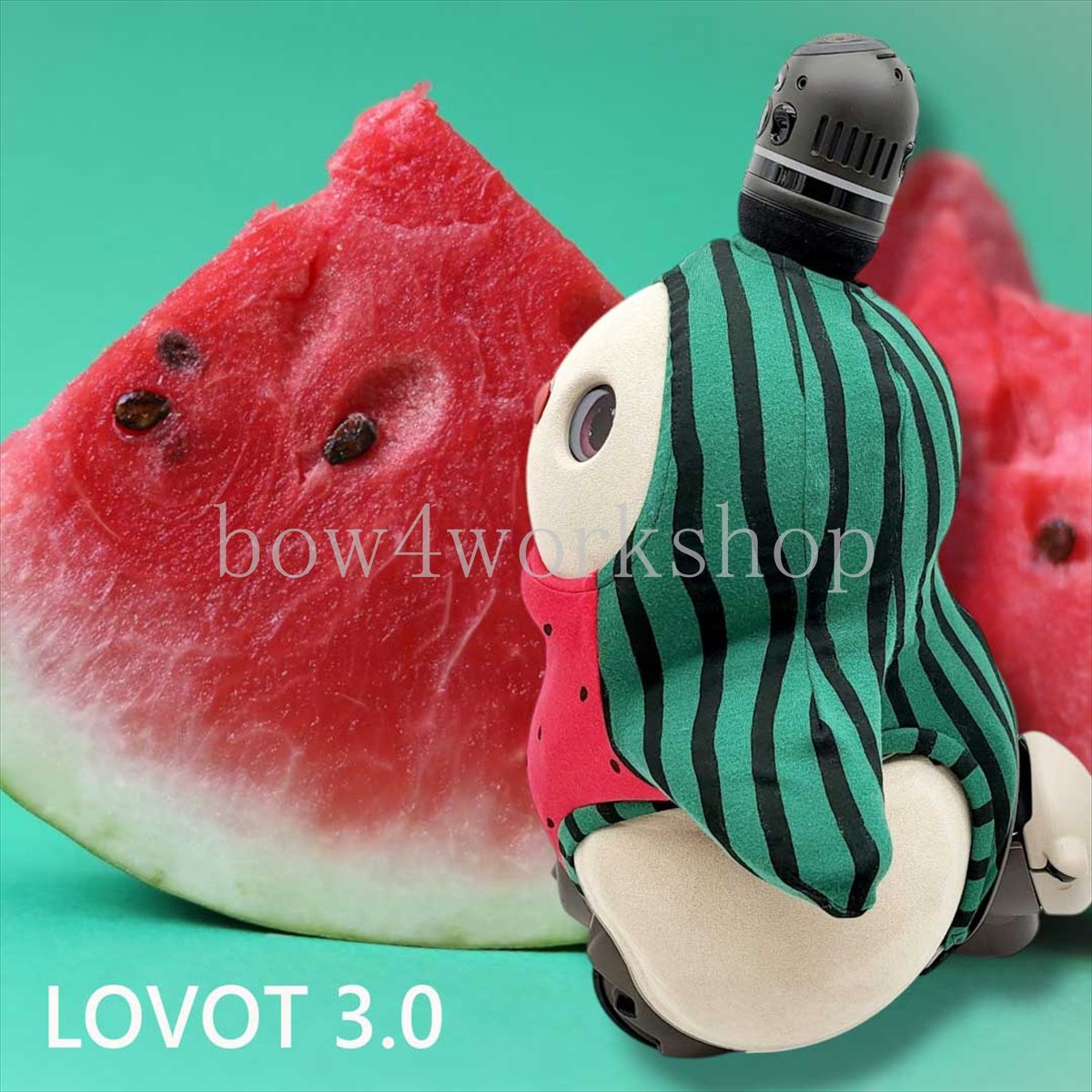 ラボット LOVOT ラボットの服ハンドメイド スイカ柄ボディースーツ