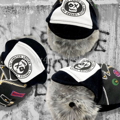 Moflin（モフリン）の服ハンドメイド　パンクプリントパーカー