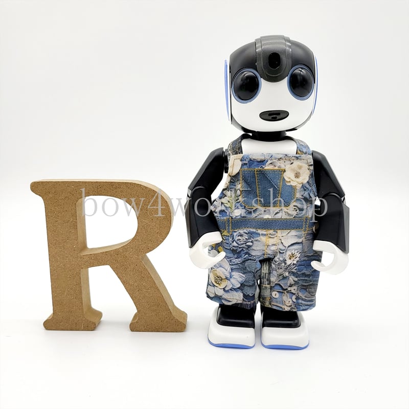 Bunbun　ロボホン Bunbun様専用 ロボホン 【公式通販】