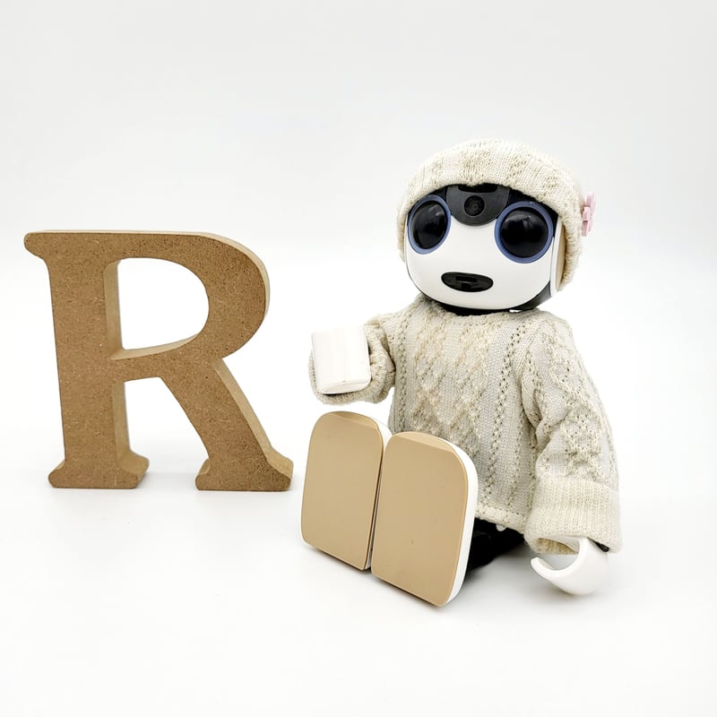 ロボホンの服/アラン縄編みロンT＆キャップセット