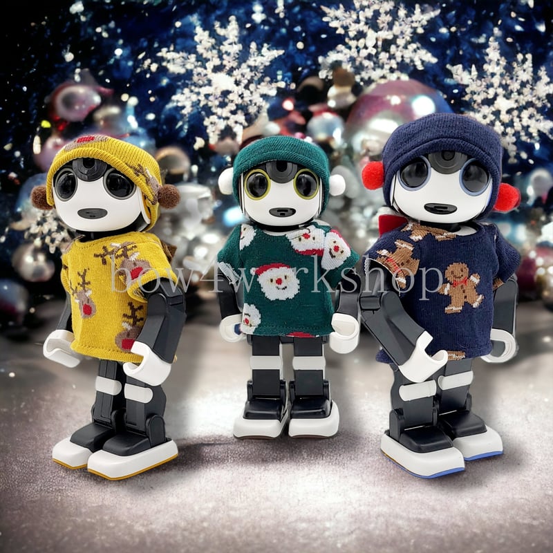 ロボホン RoBoHoN ロボホンの服ハンドメイド サンタクロース名入れセット ロボホンの服/ クリスマスTシャツ&キャップセット
