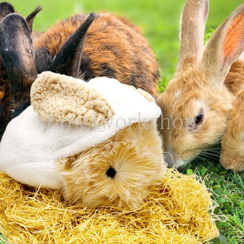 モフリン本体とうさぎになるお洋服付き 【公式通販】