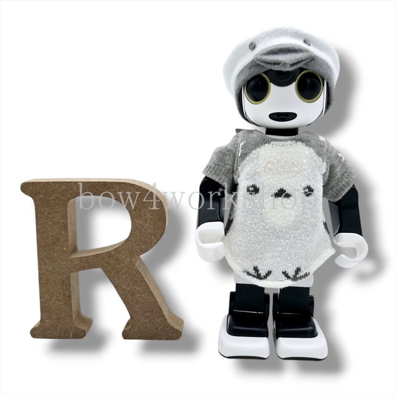 ロボホンの服/シマエナガTシャツ＆キャップセット-2