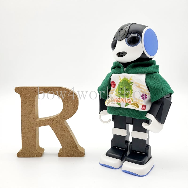 ☆【ぽんね】　ロボホンパーカー（雪ダルマ&ぱきサンタ&ぱきりんご）☆ ロボホンの服/2024年干支名入れプリントパーカー | bow4workshop STORE