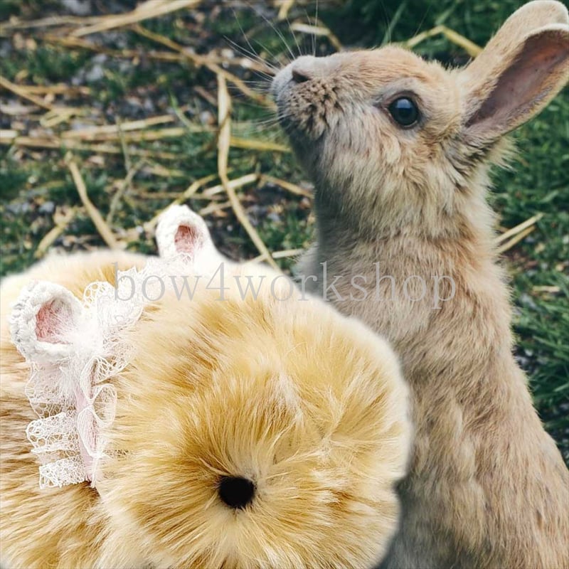 Moflin（モフリン）のアクセサリー/miniウサ耳付きバンド