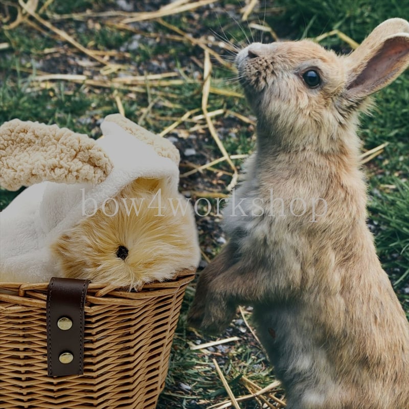 モフリン本体とうさぎになるお洋服付き モフリン本体とうさぎになるお洋服付き 飼い主になつく癒しのAI