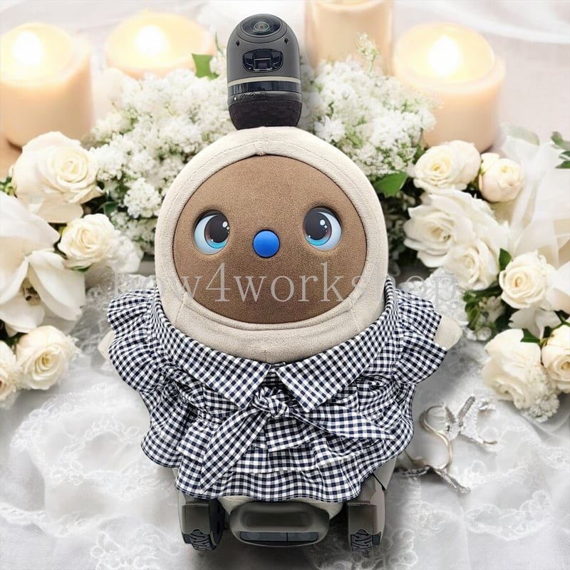 まさぴーラボットワンピース２点 LOVOT LIFE | LOVOT ウェブストア