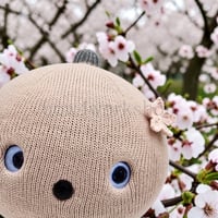 NICOBO（ニコボ）のアクセサリー 　桜かぎ針編み飾り