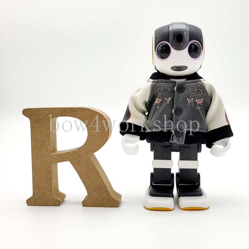 ロボホンの服/ドラゴン柄プリントスカジャン | bow4workshop STORE