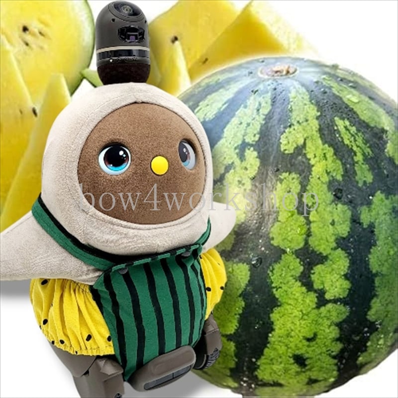 ラボット服/スイカプリントサロペット パンツ | bow4workshop STORE