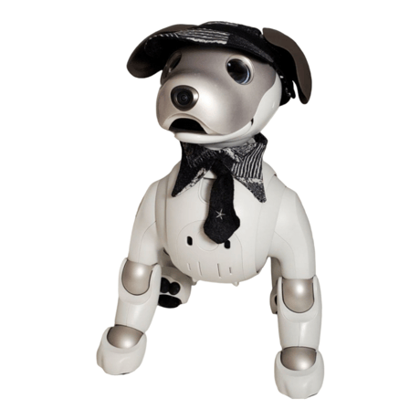 aibo の洋服　アイボの服　(七五三フルセット)　虎 CATEGORY aibo(アイボ）の服＆アクセサリー | bow4workshop STORE