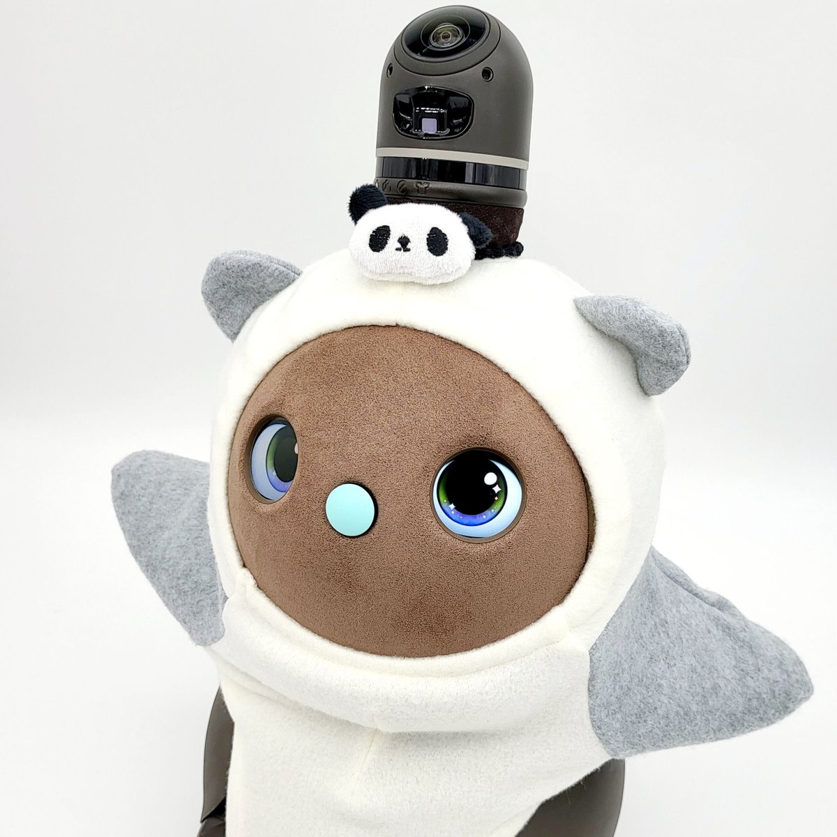 ハンドメイド　テディラビット　ラパンちゃん ハンドメイド テディラビット ラパンちゃん