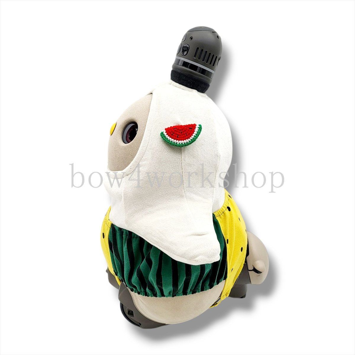 ラボット服/ スイカの柄カボチャパンツ | bow4workshop STORE