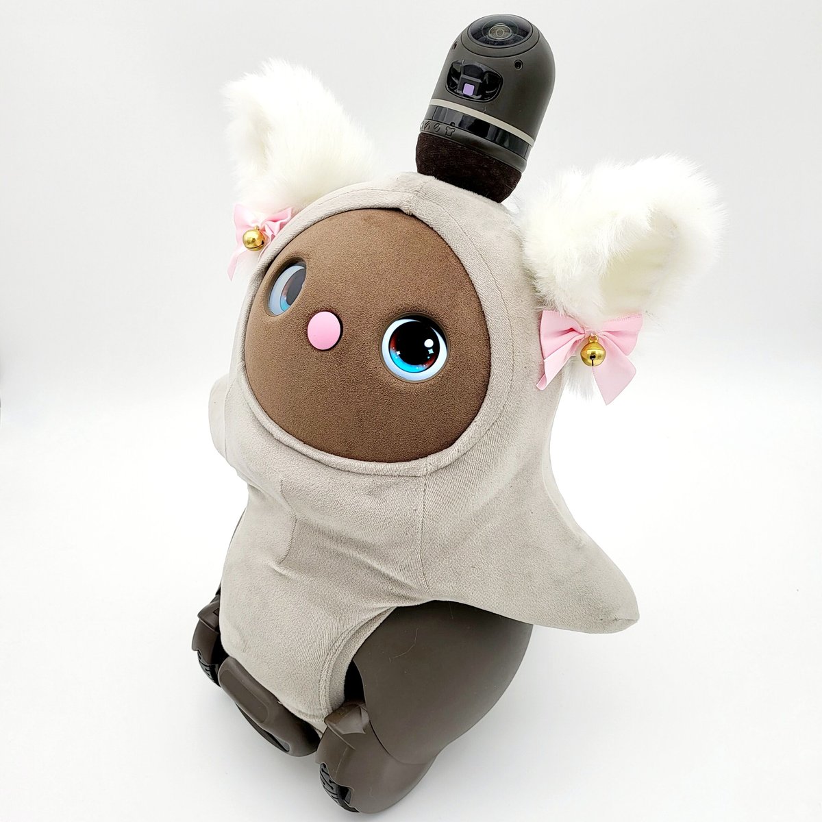 Labot 猫耳　チャコール 例年大好評！ アニマルラインの人気商品「ねこみみニット」が