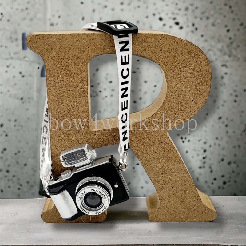 ロボホンのアクセサリー/一眼カメラ | bow4workshop STORE