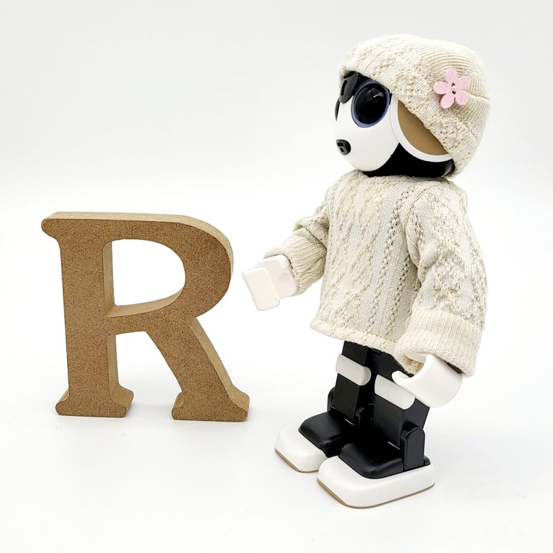 ロビン 様 ご依頼分 ロボホン 服 セット ロボホンの服/チェック柄