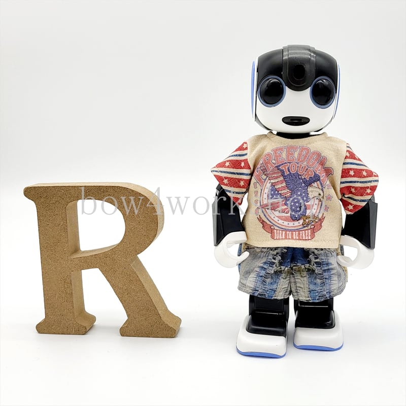 ロボホンの服/プリントTシャツ＆パンツ | bow4workshop STORE