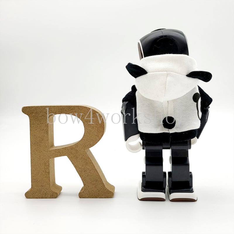 ロボホンの服/カメラ＆パンダ プリントパーカー | bow4workshop STORE