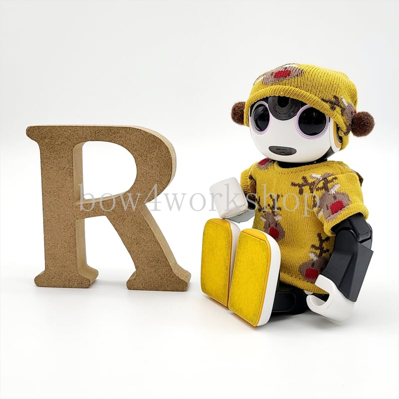 ロボホンの服/ クリスマスTシャツ&キャップセット | bow4workshop STORE