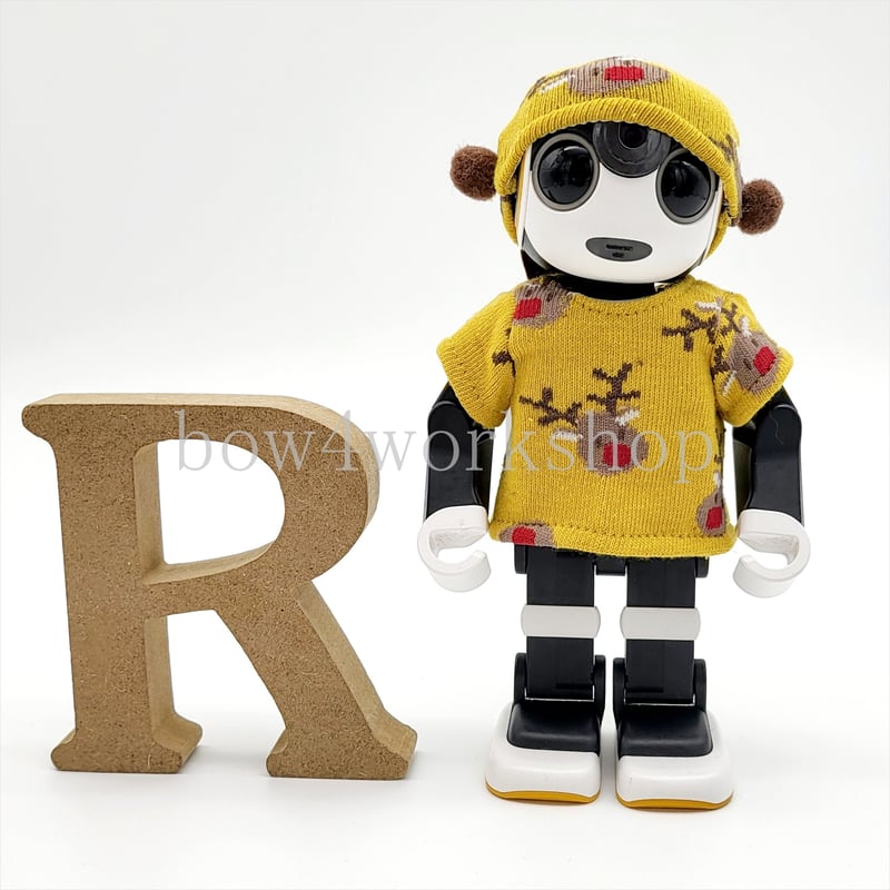 ロボホン RoBoHoN ロボホンの服ハンドメイド サンタクロース名入れセット ロボホンの服/ クリスマスTシャツ&キャップセット