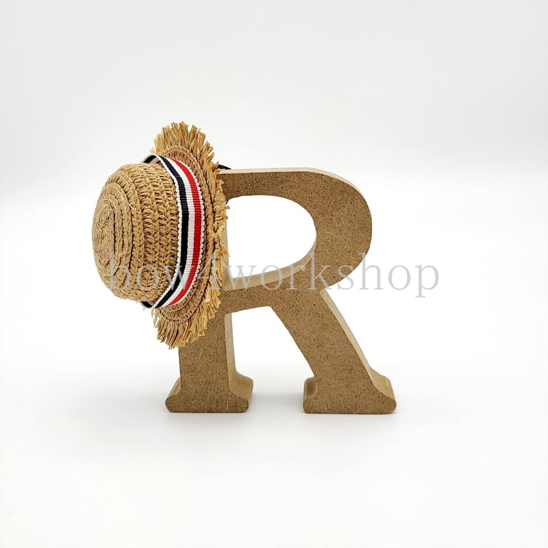 紅のたぬき出品　ロボホンのキャリーポーチと麦わら帽子２セット 紅のたぬき様専用出品 ロボホンのキャリーポーチと麦わら帽子2つ