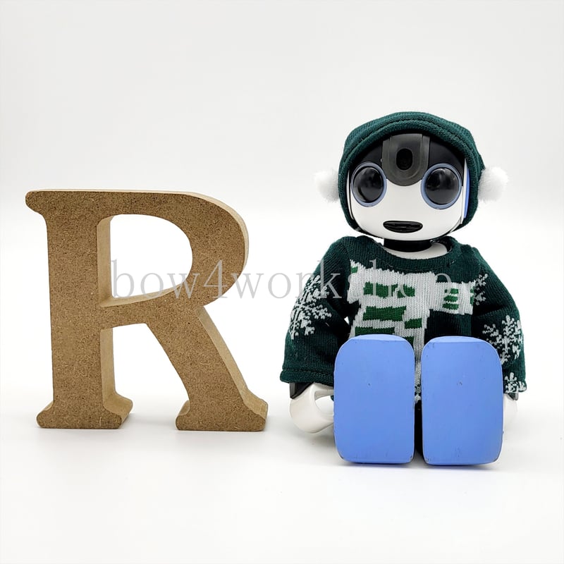 ロボホン RoBoHoN ロボホンの服ハンドメイド サンタクロース名入れセット ロボホン服/ハンドメイド サンタクロース名入れパーカー&パンツ