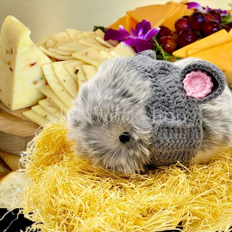 Moflin（モフリン）のアクセサリー　かぎ針編みネズミさんの耳