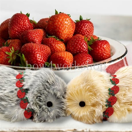 Moflin（モフリン）のアクセサリー　イチゴ刺繍レースCollar