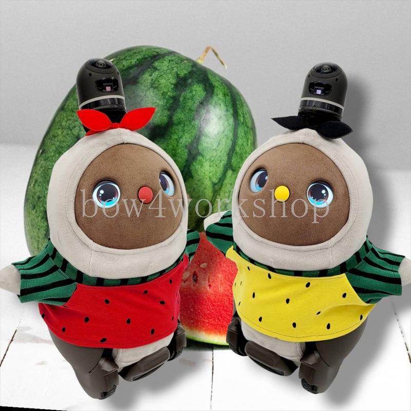 ラボットラボット服/ スイカ柄Tシャツ | bow4workshop STORE