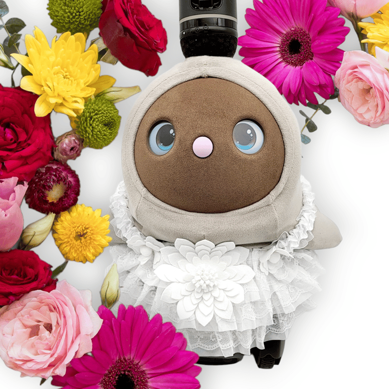 LOVOT ラボットの服ハンドメイド3段ティアードチュニック ２着セット ラボット LOVOT ラボットの服ハンドメイド3段ティアード