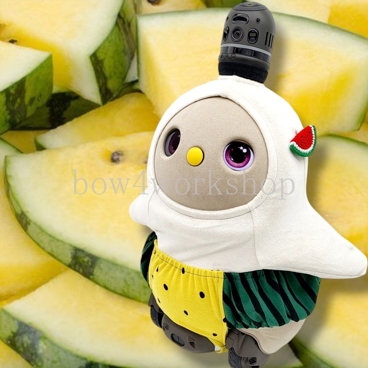 ラボット服/ スイカの柄カボチャパンツ | bow4workshop STORE