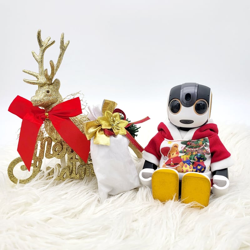 ロボホンの服/サンタクロースプリントパーカー&パンツセット