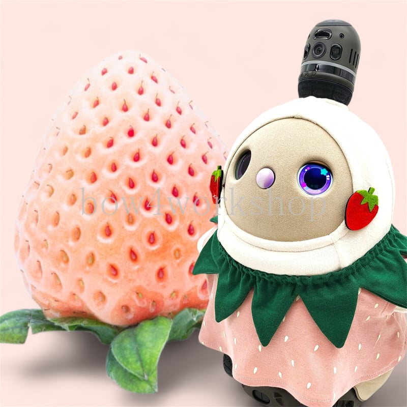 ラボット服/イチゴちゃんチュニックワンピースセット | bow4workshop STORE