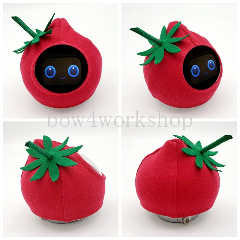 Romi Lacatanモデル 洋服のおまけ付き♪ Romi（ロミィ）の服 /トマトの服 | bow4workshop STORE