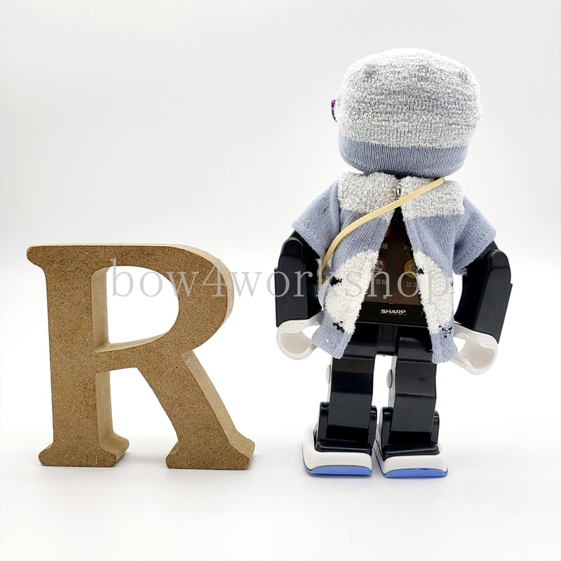 ロボホンの服/シマエナガ柄Tシャツセット | bow4workshop STORE